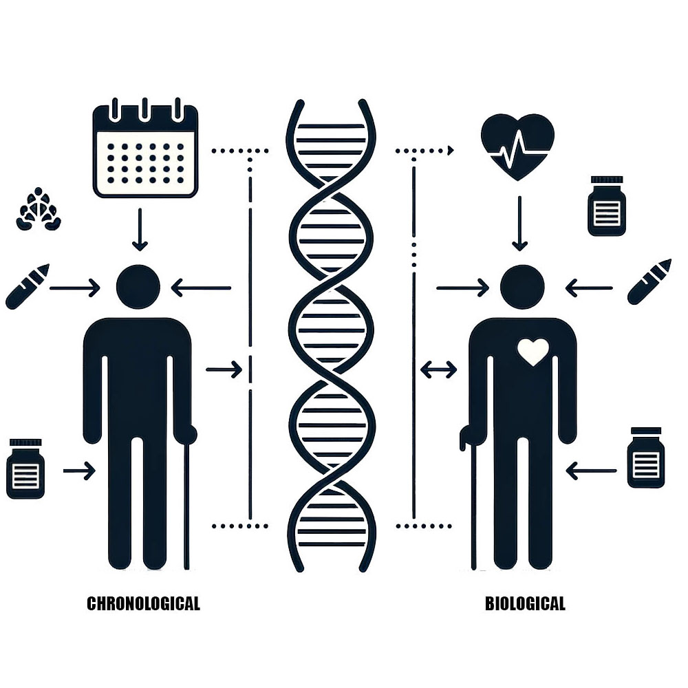 Understanding Biological Age vs. Chronological Age - LIFETERNITY